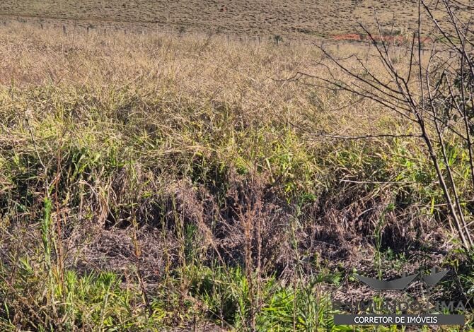 Chácara no Bairro  Lua e Sol 