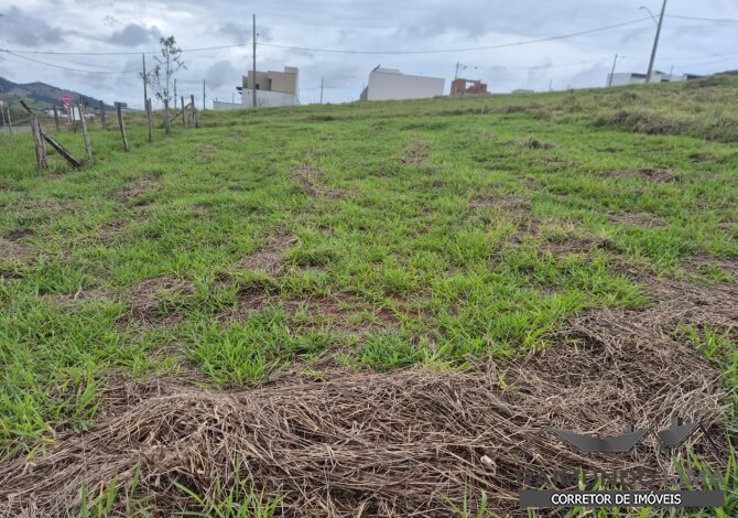 Lote no Bairro Jardim Floresta