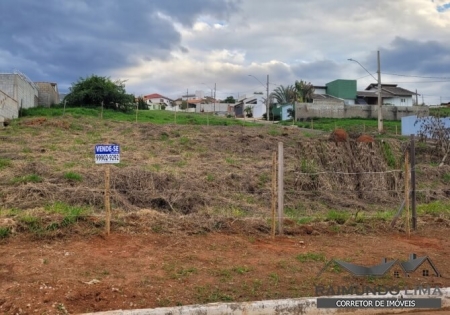 Lote
