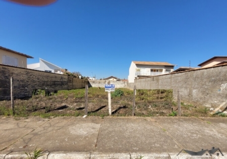 Lote