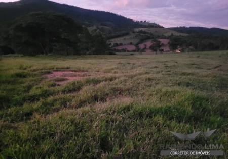 Lote